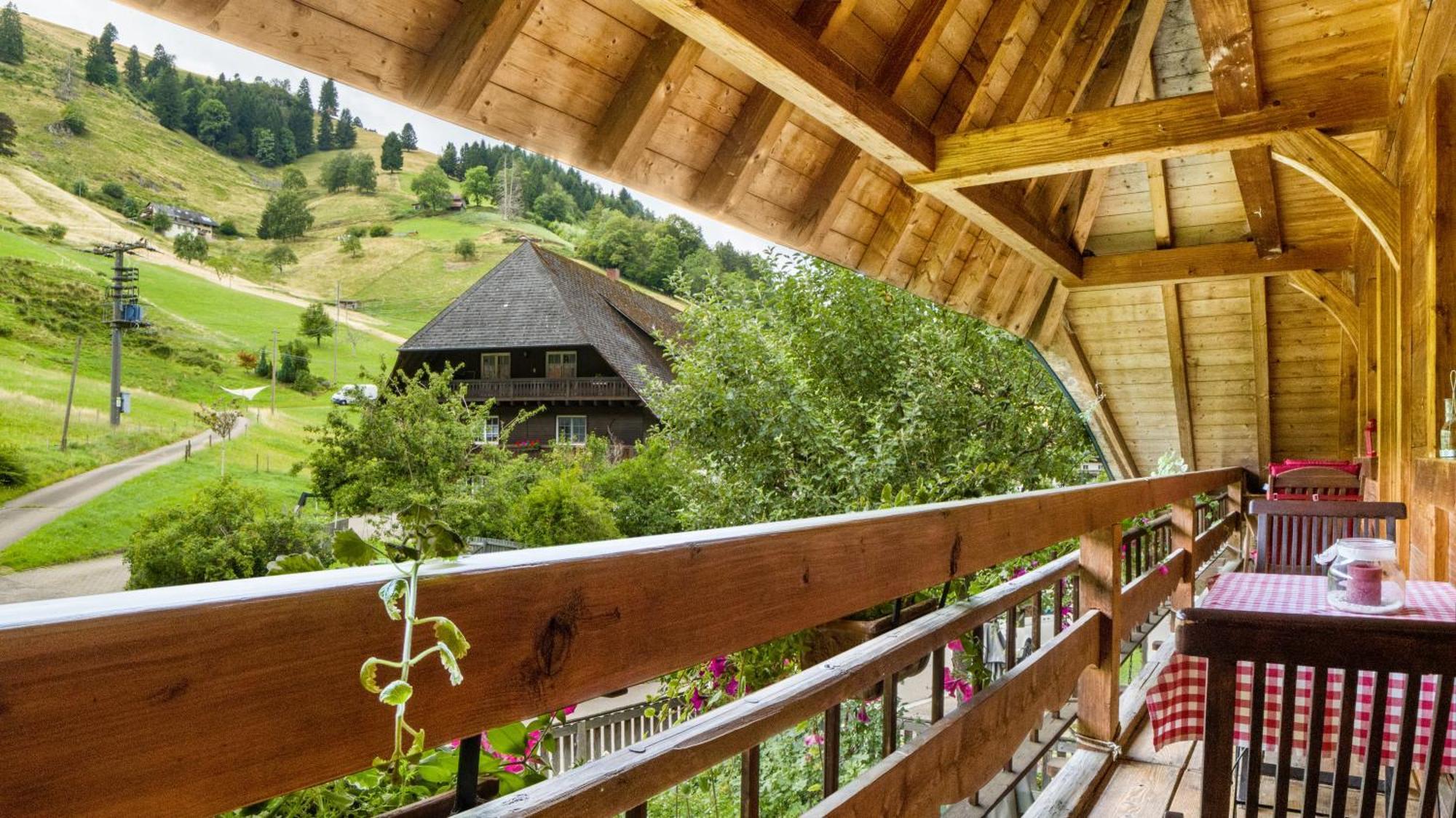 Апартаменты Haus Miriam Мюнстерталь Экстерьер фото